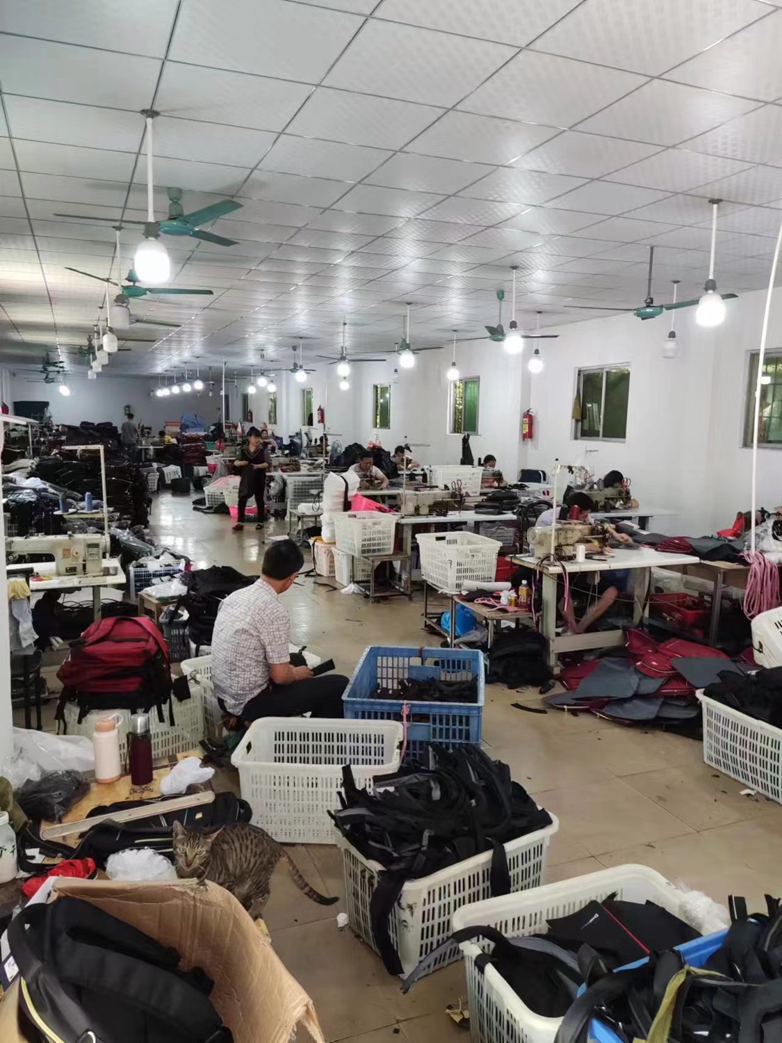 Factory in Huadu, Guangzhou